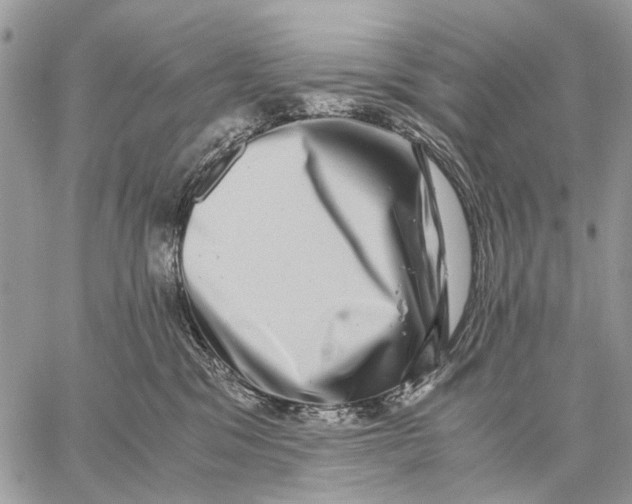 X0000058780329200510211754