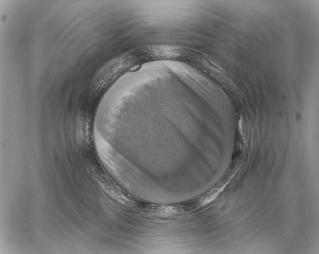 X0000058780330200510211754