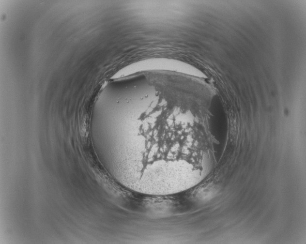 X0000058780331200510211754