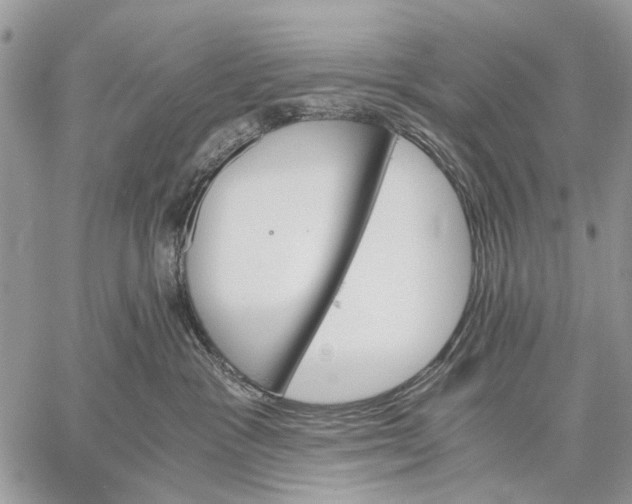 X0000058780333200510211754