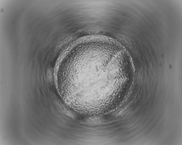 X0000058780335200510211754