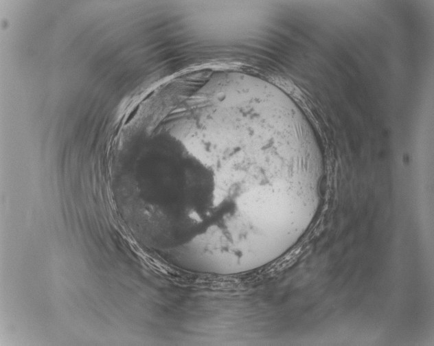 X0000058780337200510211753