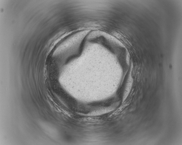 X0000058780338200510211753