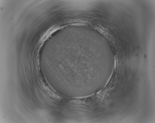 X0000058780339200510211753