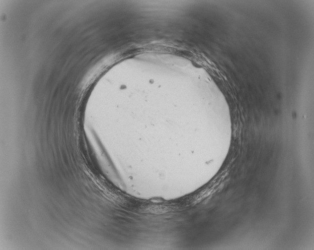 X0000058780341200510211753