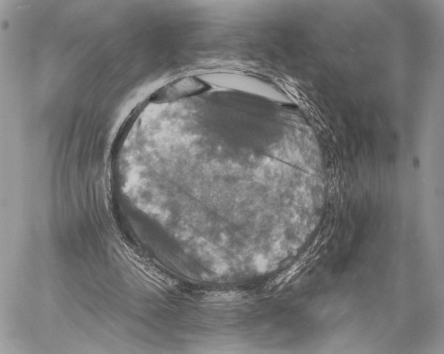 X0000058780342200510211753