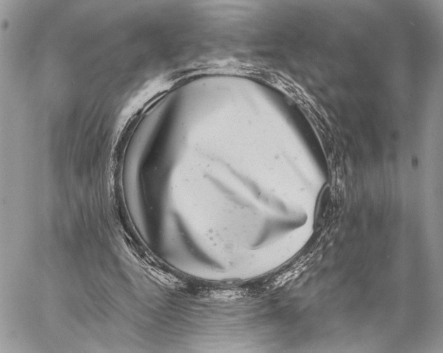 X0000058780344200510211753