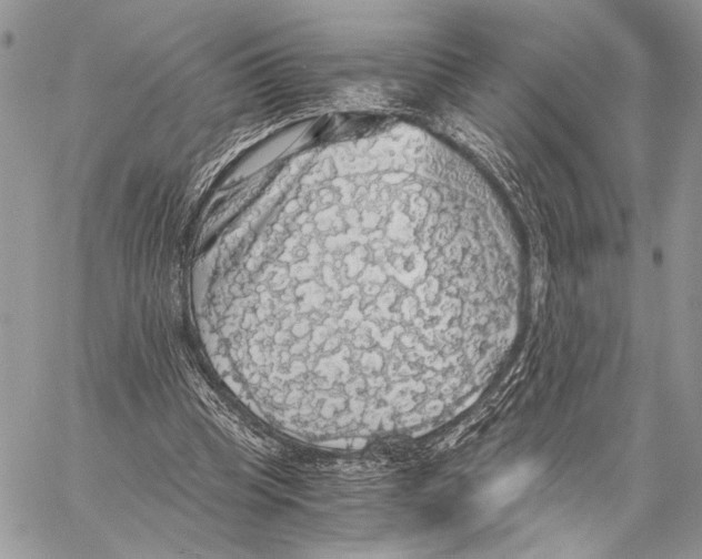 X0000058780345200510211753