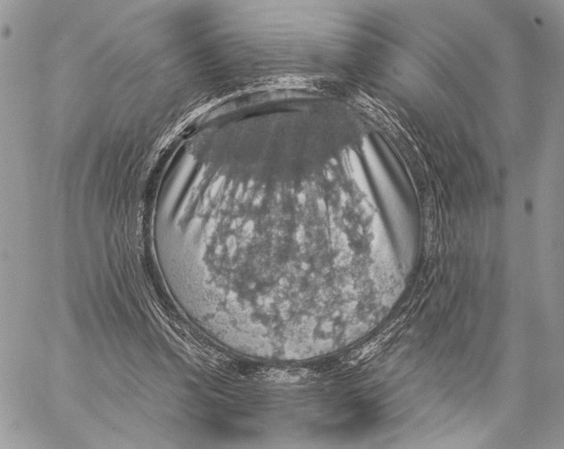 X0000058780346200510211753