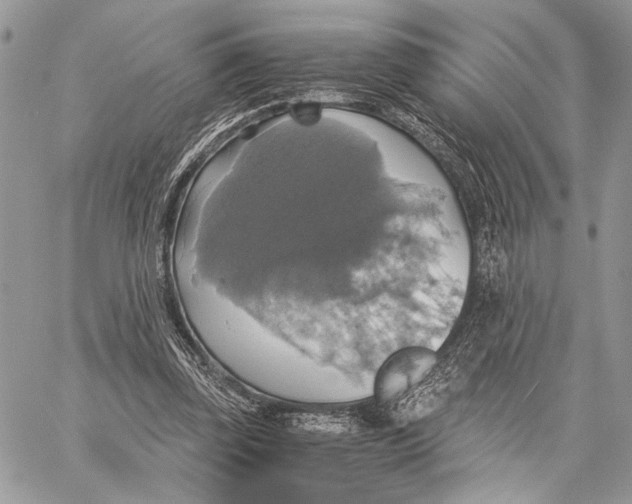 X0000058780347200510211753