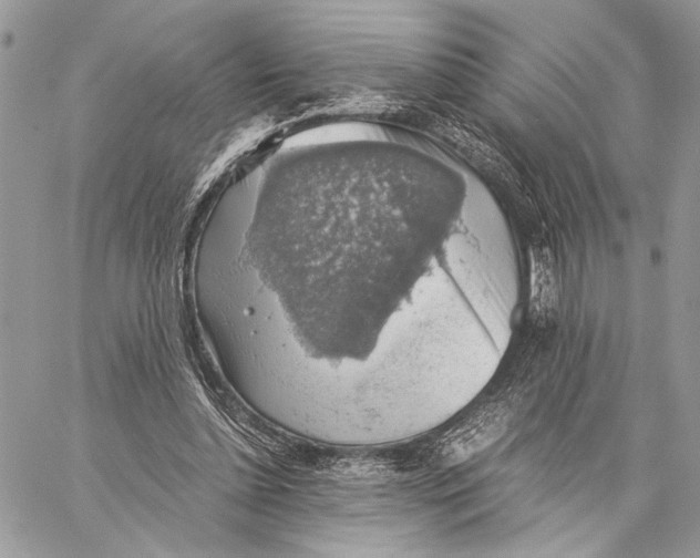 X0000058780348200510211753