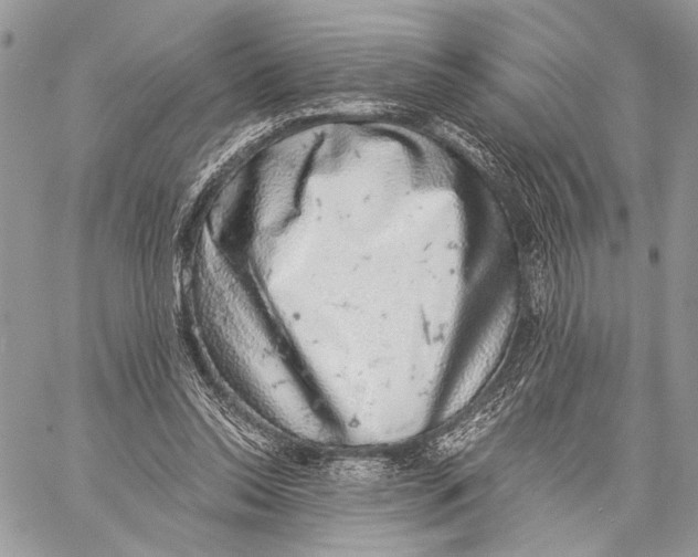 X0000058780350200510211754