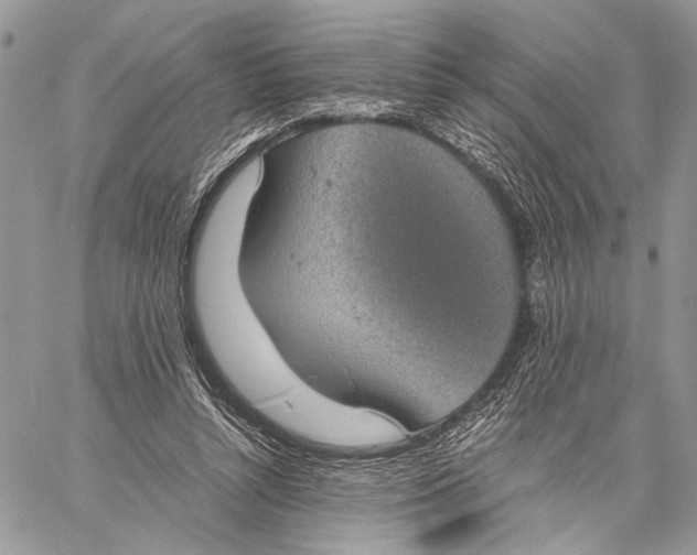 X0000058780352200510211754