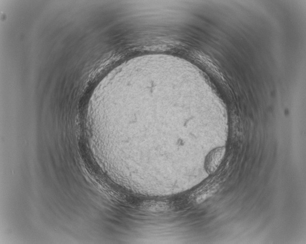 X0000058780354200510211754