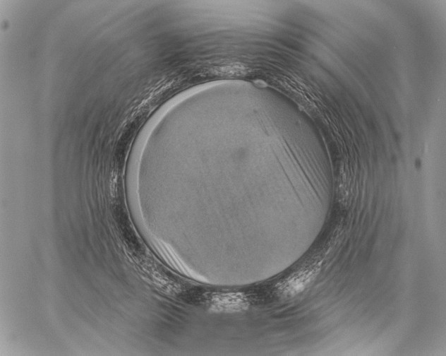 X0000058780355200510211754