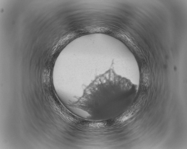 X0000058780357200510211754