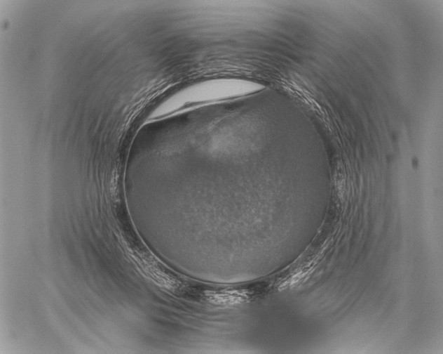 X0000058780359200510211754