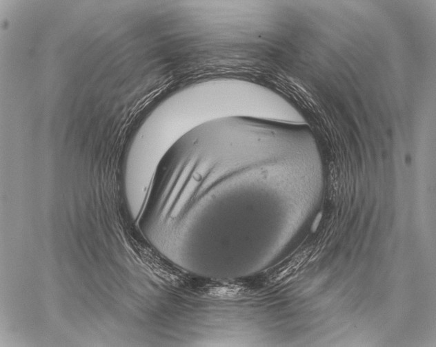 X0000058780364200510211754