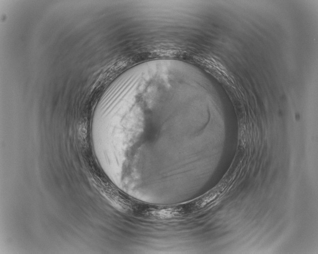 X0000058780365200510211754