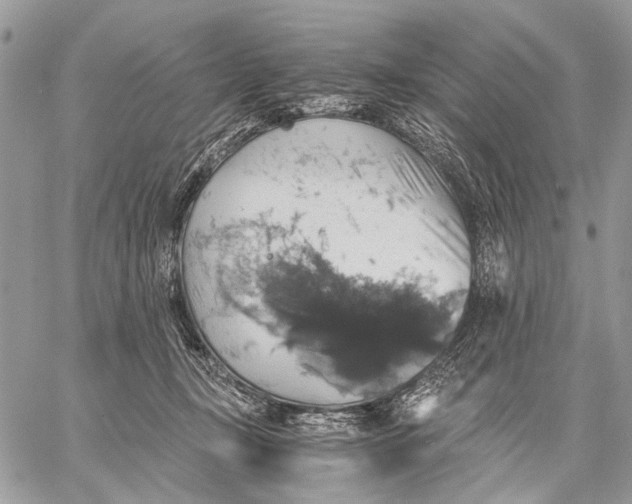 X0000058780367200510211754