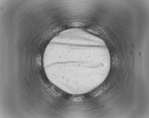 X0000058780368200510211754