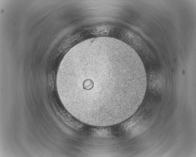 X0000058780370200510211754