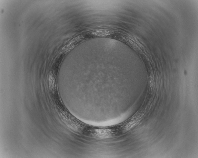 X0000058780371200510211754