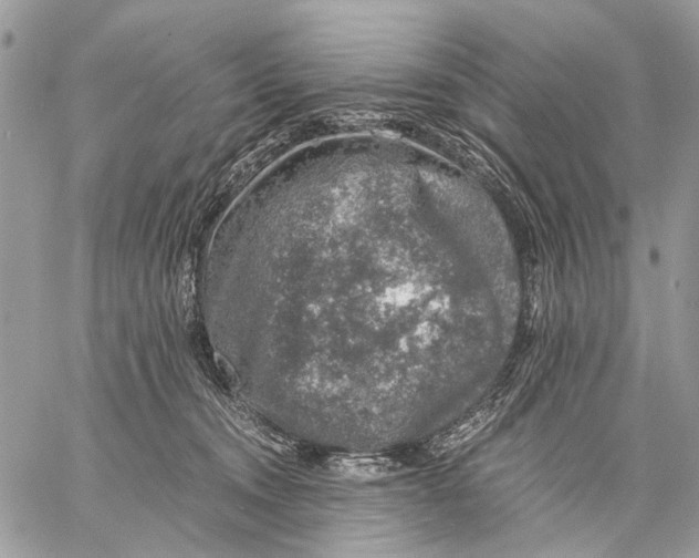 X0000058780372200510211754