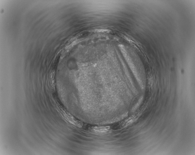 X0000058780373200510211754