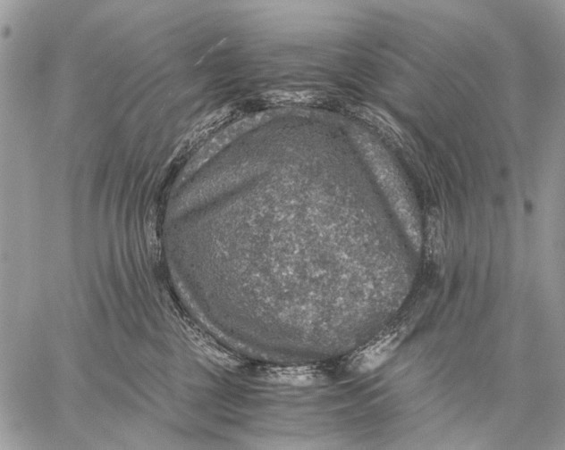 X0000058780377200510211754