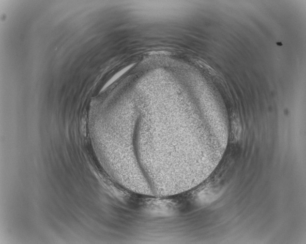 X0000058780379200510211754