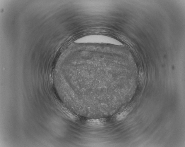 X0000058780381200510211754