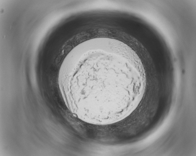 X0000058780382200510211754