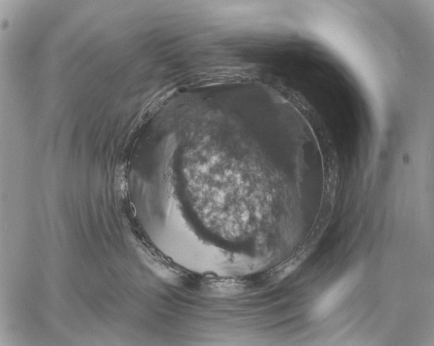 X0000058780383200510211754