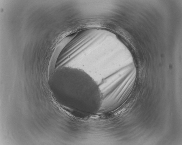 X0000058780385200510211753