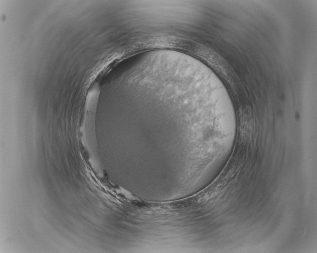 X0000058780386200510211753