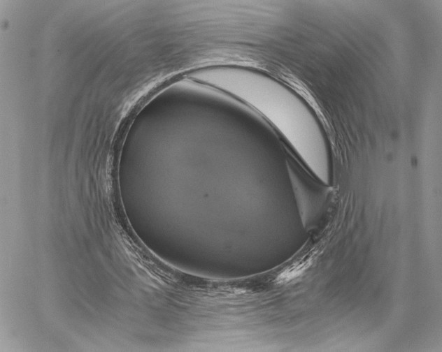 X0000058780387200510211753