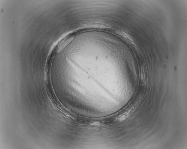 X0000058780388200510211753