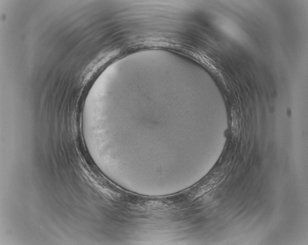 X0000058780390200510211753