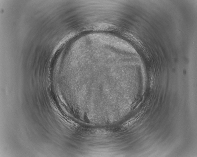 X0000058780392200510211753