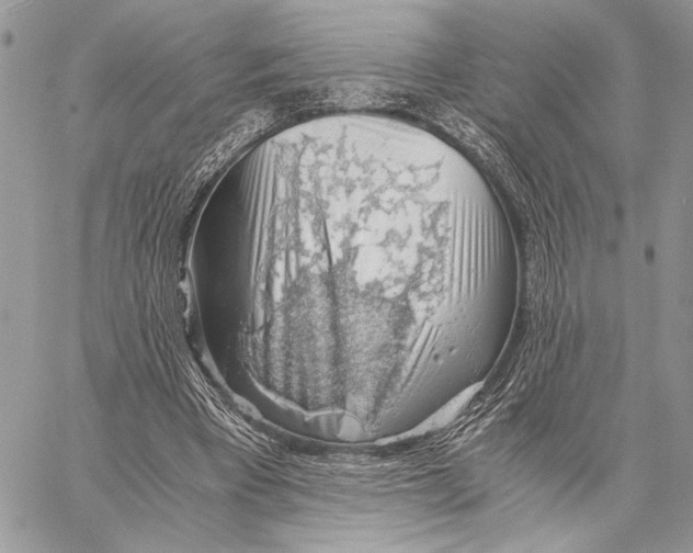 X0000058780393200510211753