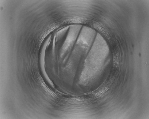 X0000058780394200510211753