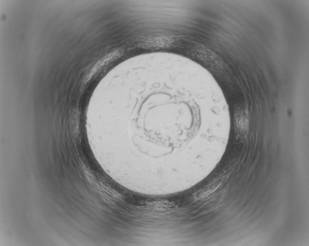 X0000058780396200510211753