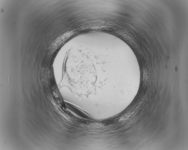 X0000058780397200510211753