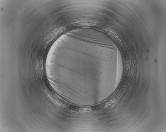 X0000058780398200510211753