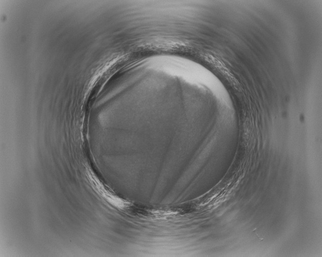 X0000058780399200510211753