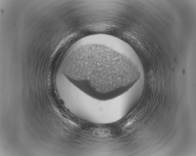 X0000058780400200510211753