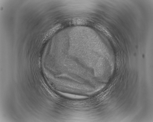 X0000058780401200510211753