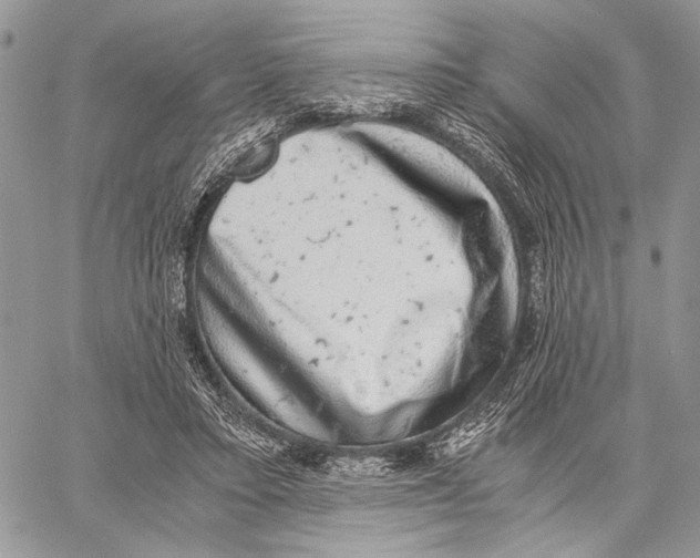 X0000058780403200510211753