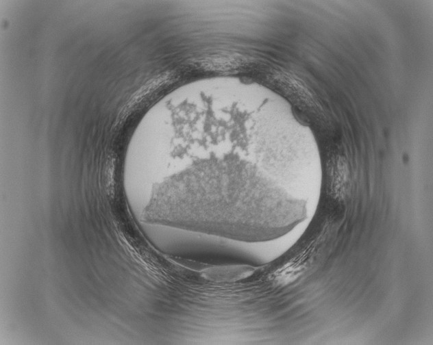 X0000058780404200510211753